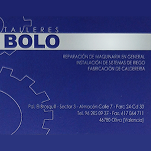bolo